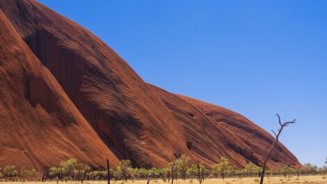 Indigenous partnerships/Knowledge