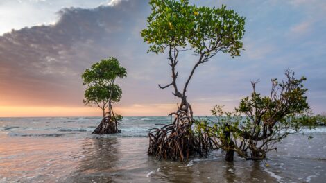 Climate basics/Getting started