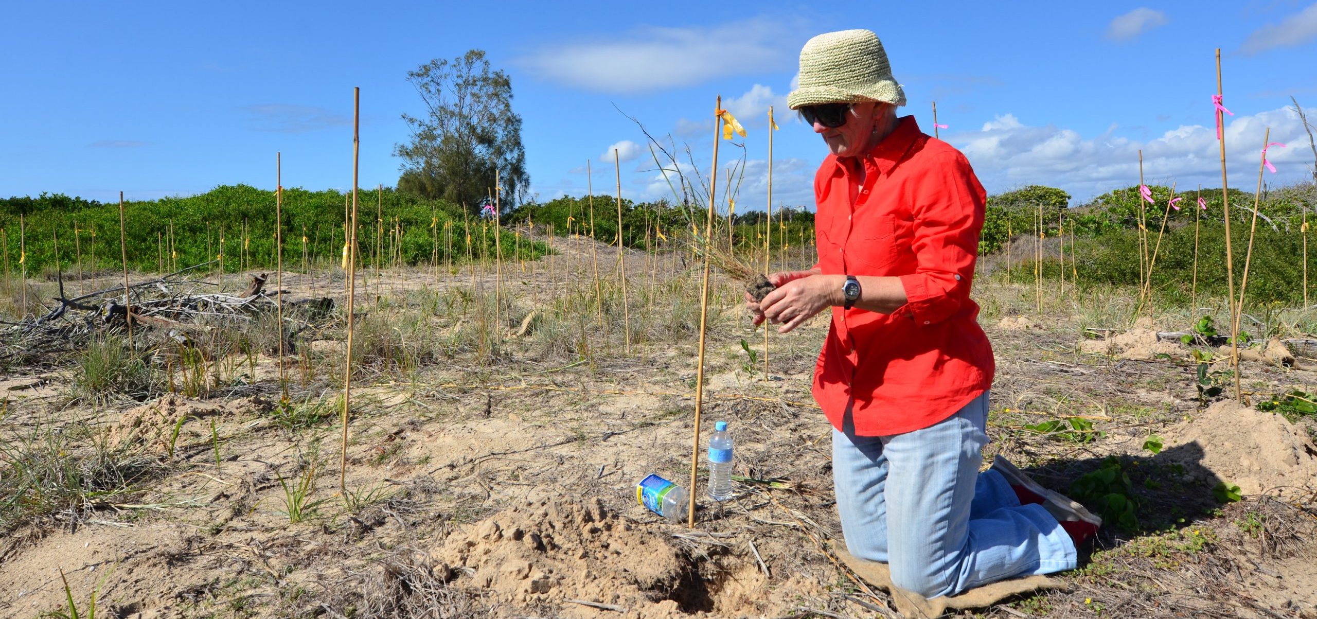 Enabling best practice adaptation - NESP 2 climate