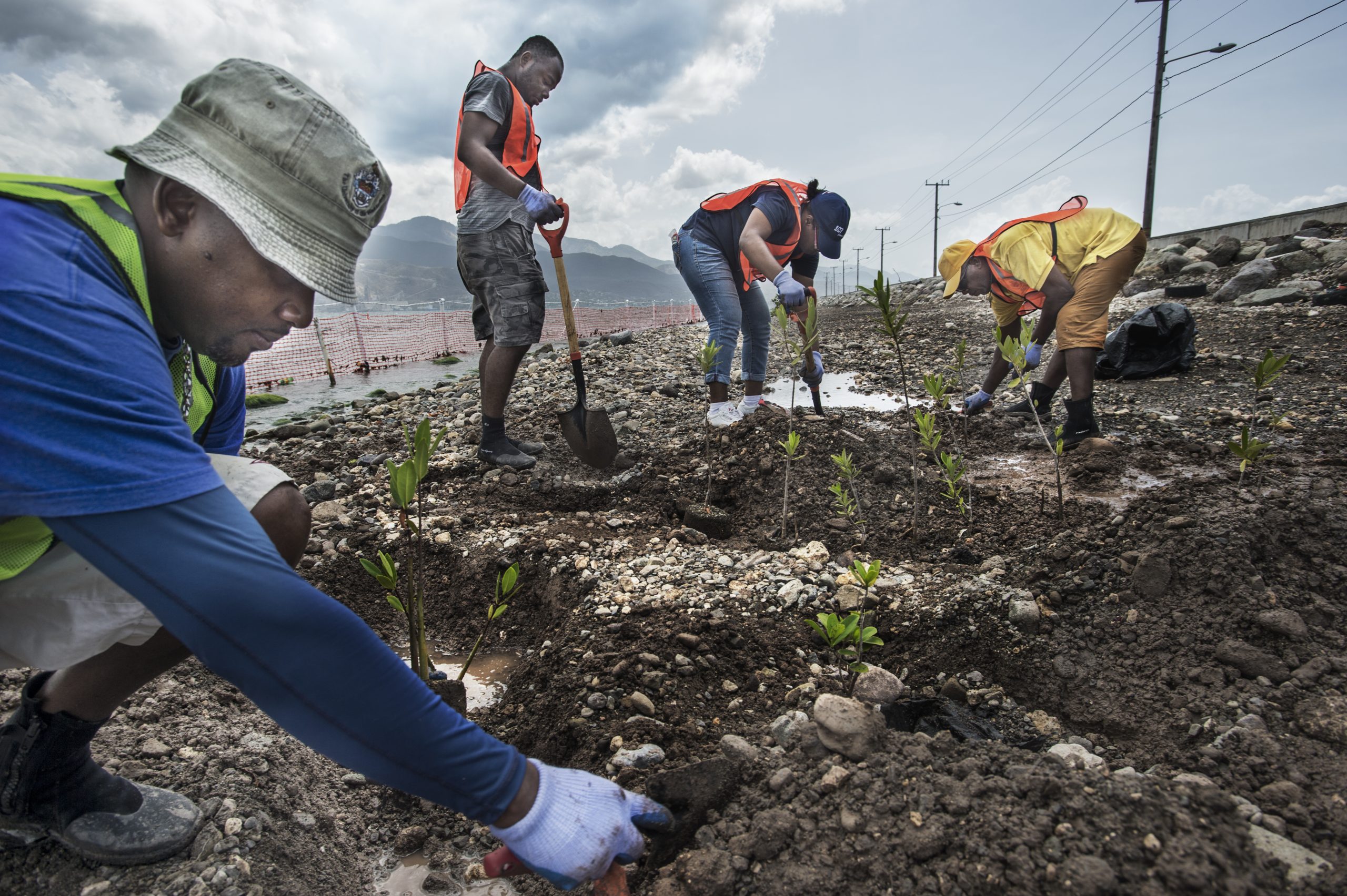 Enabling Climate Change Adaptation Nesp 2 Climate