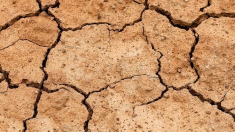Drought