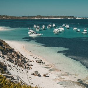 November News & Next Webinar …