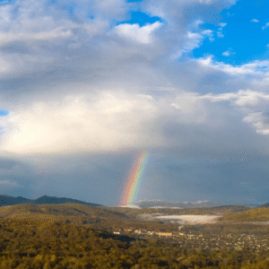 Adapt Log to the Queensland Wetlands Network Forum