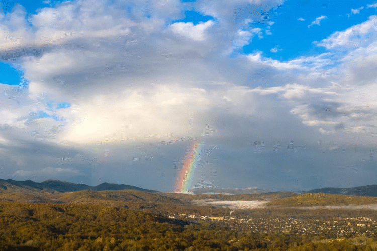Adapt Log to the Queensland Wetlands Network Forum
