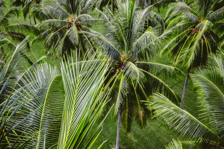 How a chat box became a gateway to climate confidence