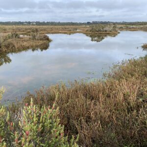 Climate maps guiding Melbourne Water’s wetland planning