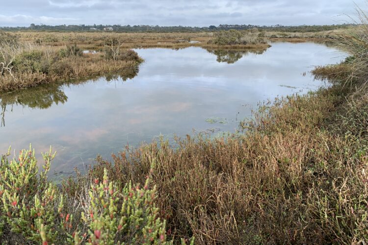 Climate maps guiding Melbourne Water’s wetland planning